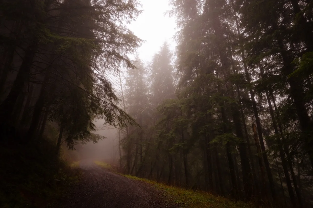 Leading Lines contest winner