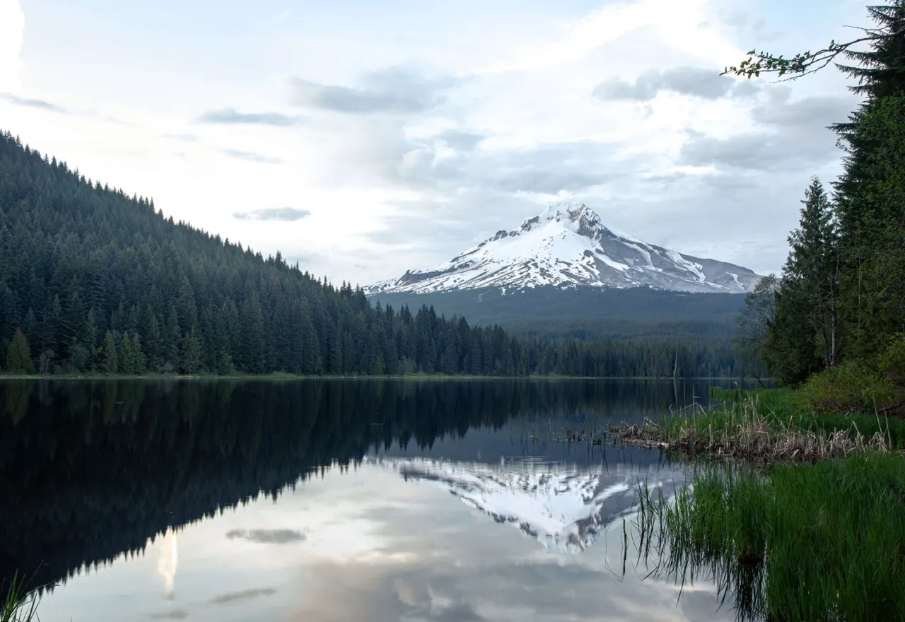 Reflections contest winner